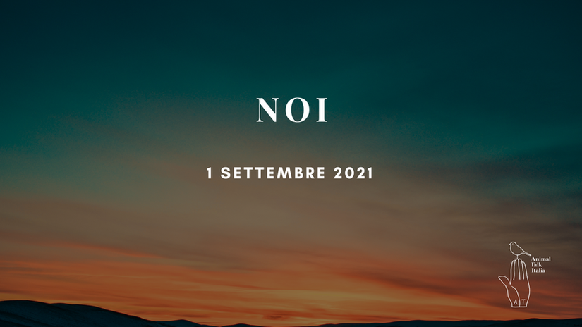 NOI - Gratuito